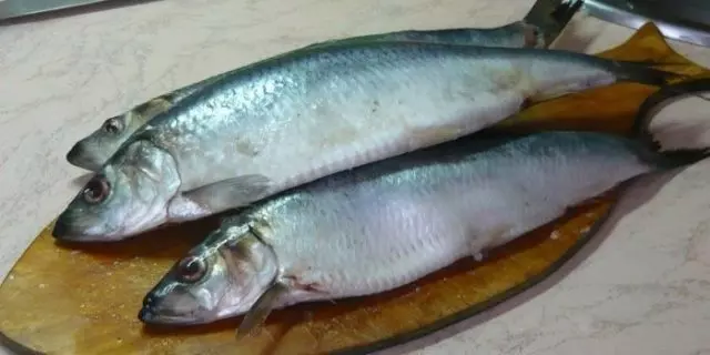 При лечебной диете можно кушать рыбу, но только нежирных сортов